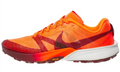 Men's Nike Terra Kiger 10