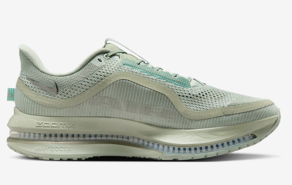 Men's Nike Pegasus Premium