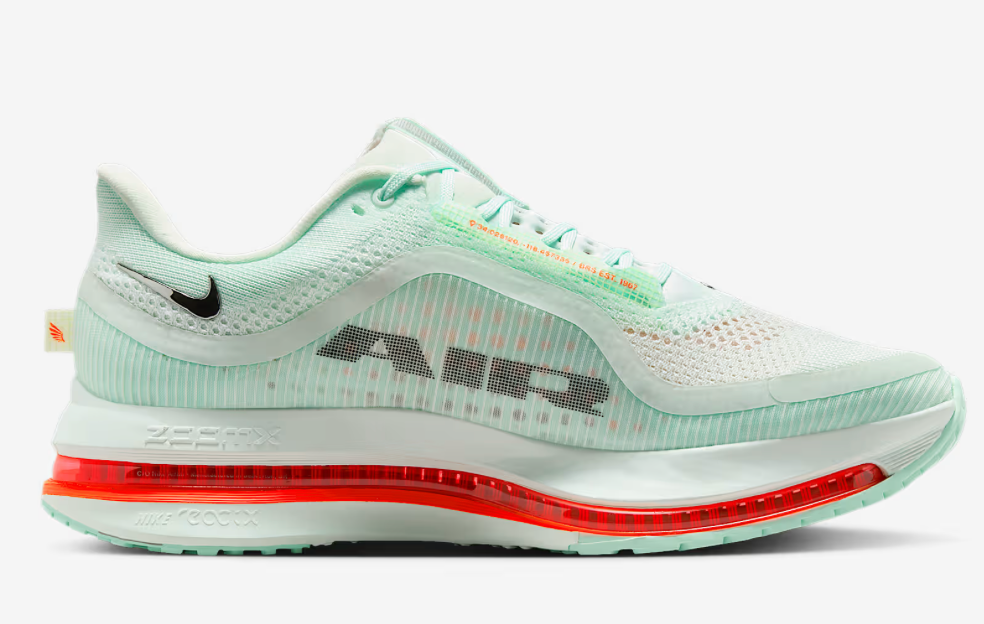 Men's Nike Pegasus Premium