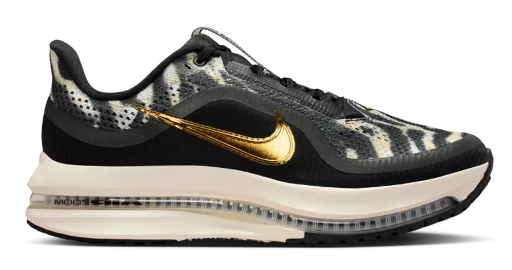Women's Nike Pegasus Premium