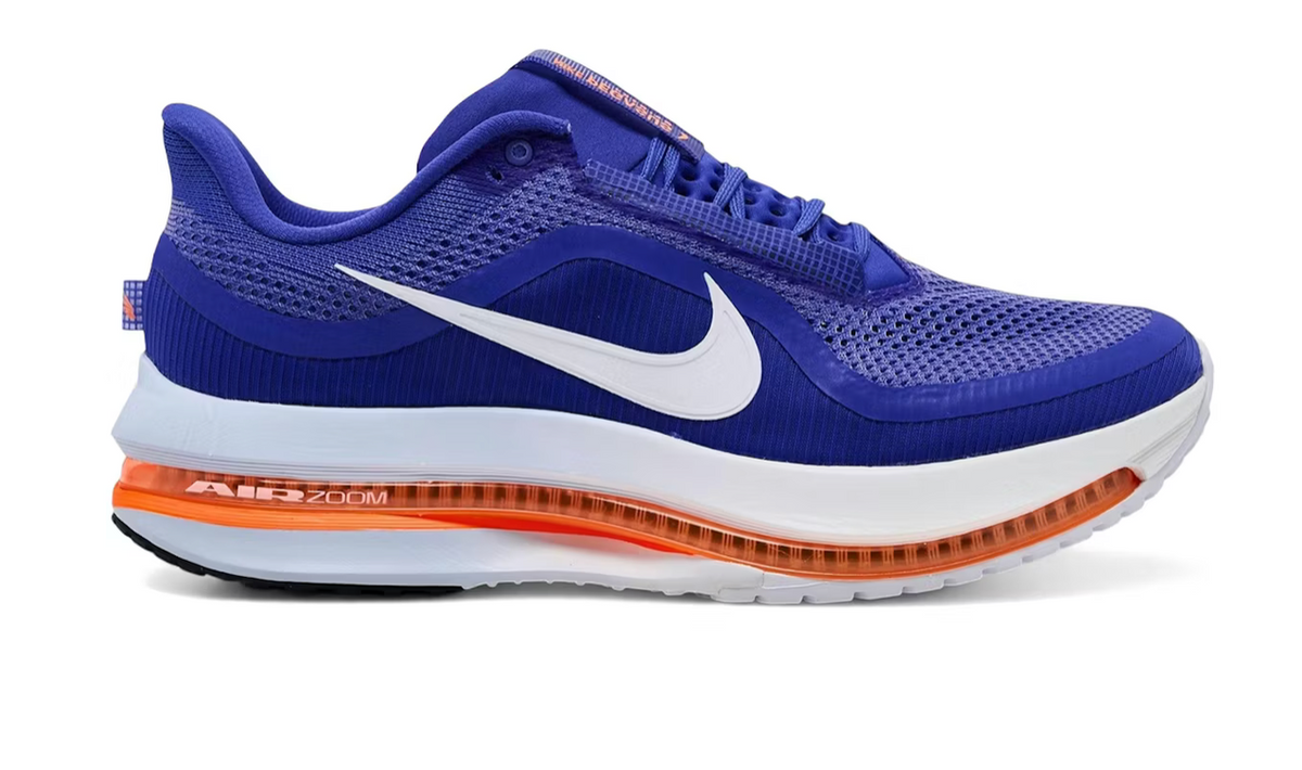 Men's Nike Pegasus Premium