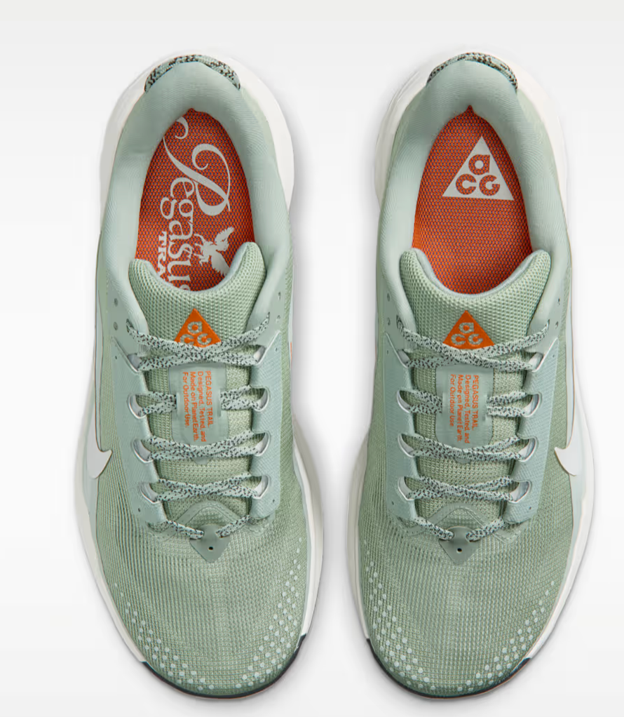Men's Nike ACG Pegasus Trail